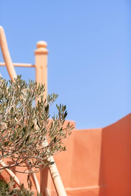 Riad Le Petit Bacha Marrakesh Ngoại thất bức ảnh